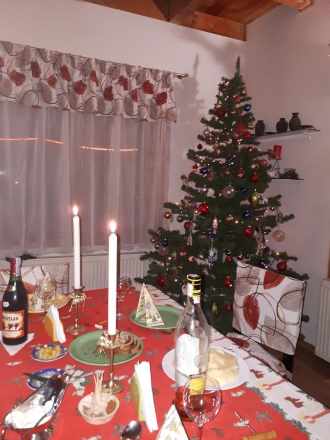 Вілла Family House Буштені Екстер'єр фото