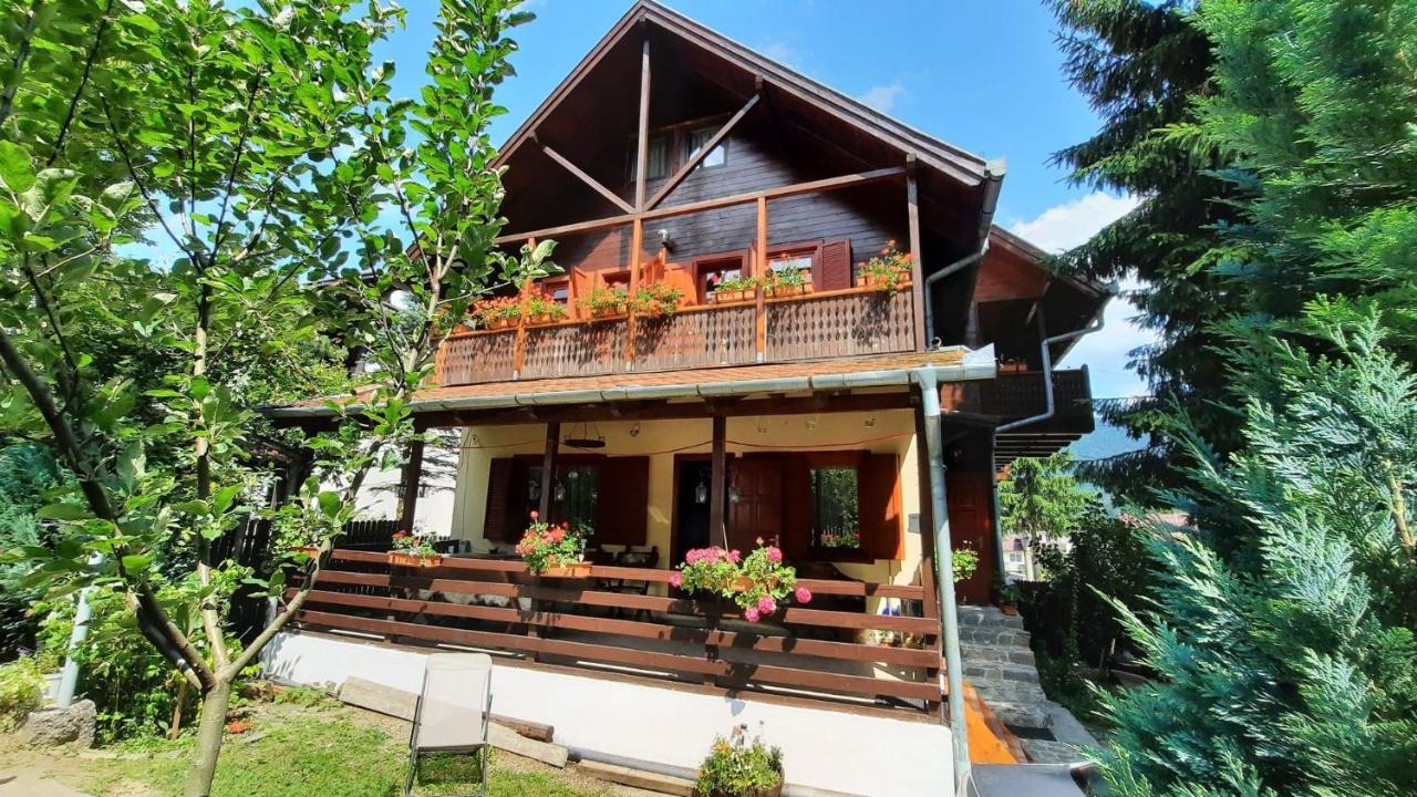 Вілла Family House Буштені Екстер'єр фото